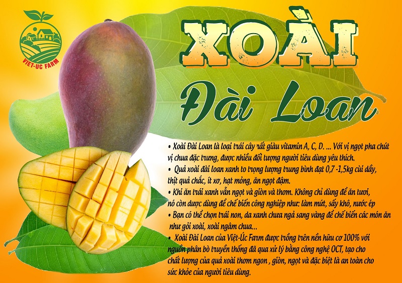 xoai-dai-loan-vietucfarm