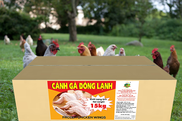 CÁNH GÀ ĐÔNG LẠNH