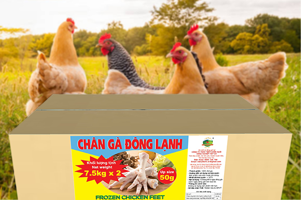 CHÂN GÀ ĐÔNG LẠNH