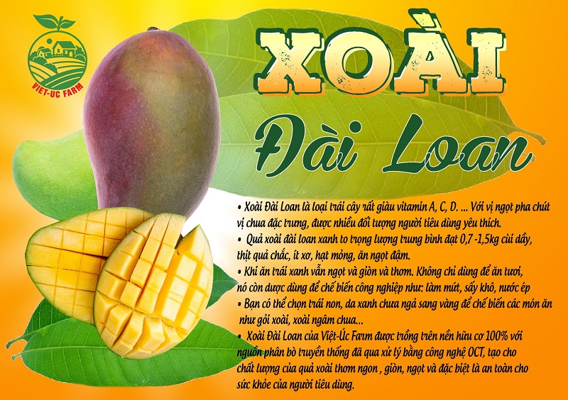 XOÀI GIỐNG ĐÀI LOAN